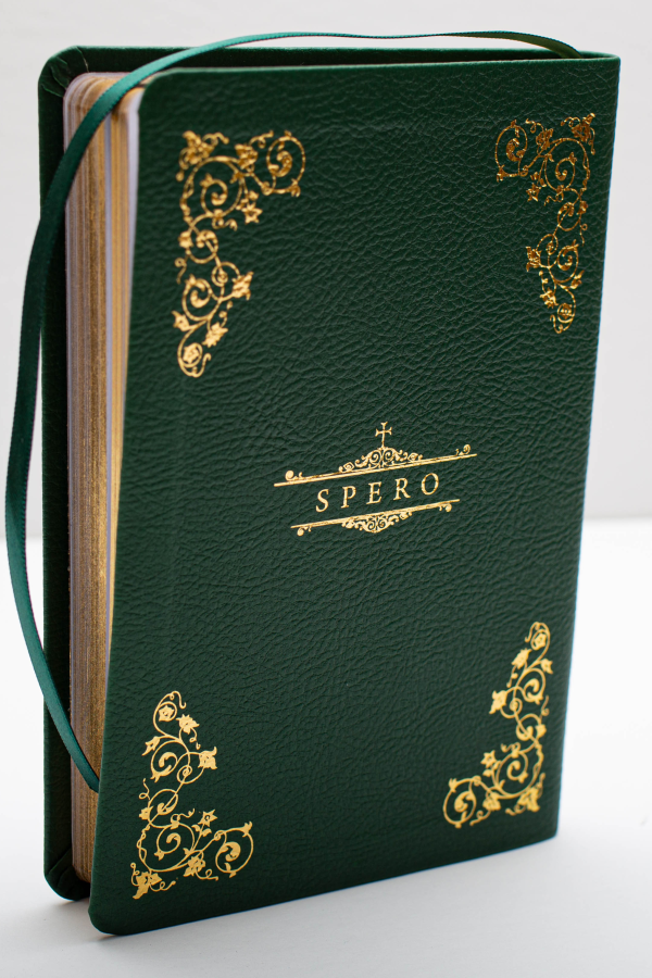 Spes Nostra: Profound Words of Encouragement & Consolation for Weary Members of the Mystical Body