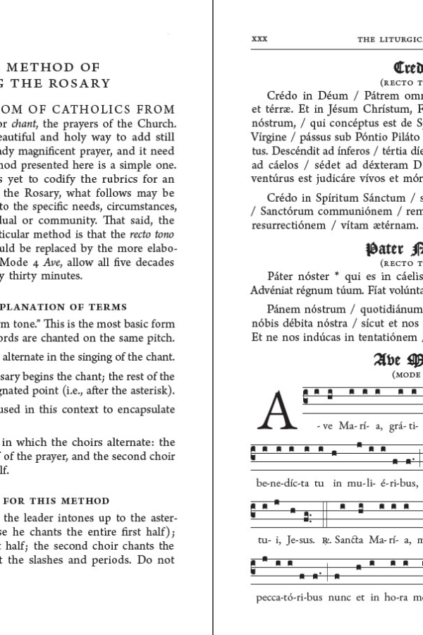 The Liturgical Rosary: Meditations for Each Hour, Day & Season of the Liturgical Year (2nd Edition)