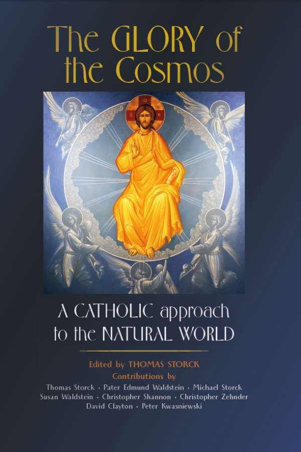 The Glory of the Cosmos