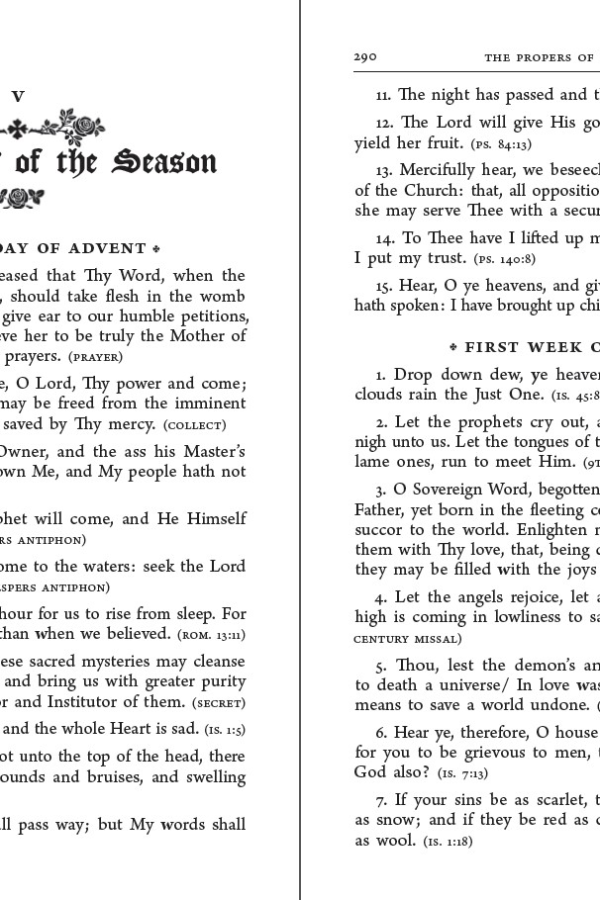 The Liturgical Rosary: Meditations for Each Hour, Day & Season of the Liturgical Year (2nd Edition)