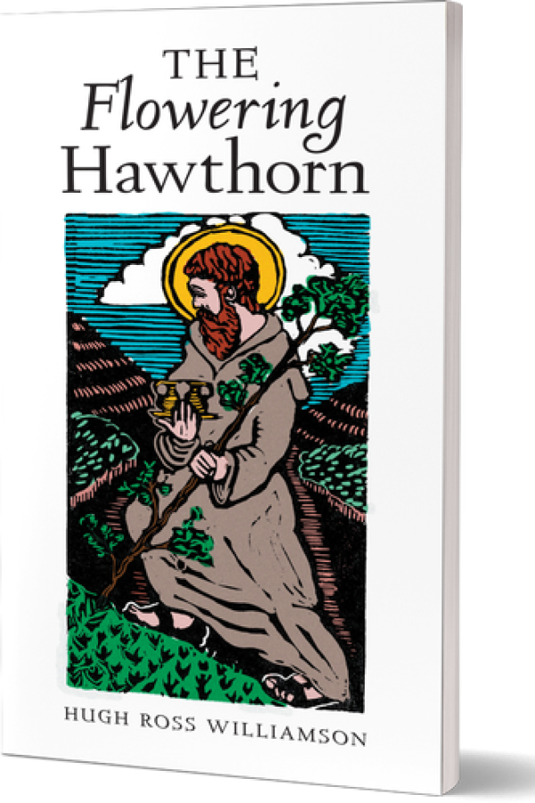 The Flowering Hawthorn