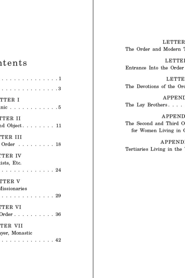 The Dominicans: Letters to a Young Man on the Dominican Order