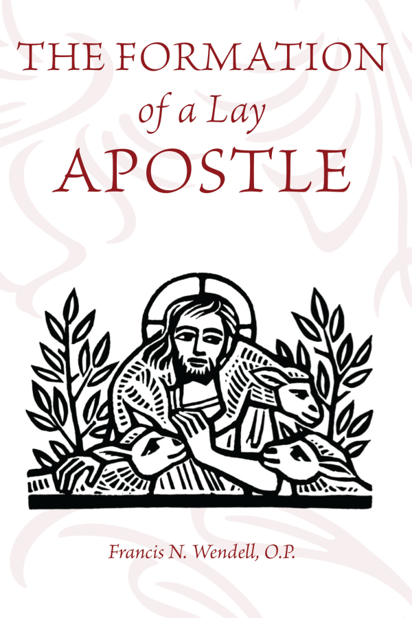 The Formation of a Lay Apostle